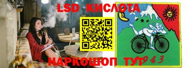 PSILOCYBIN Кудымкар