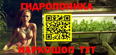 PSILOCYBIN Кудымкар