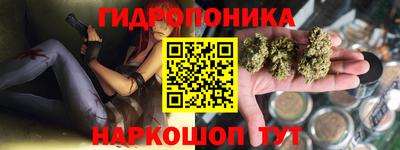 PSILOCYBIN Кудымкар