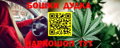 PSILOCYBIN Кудымкар