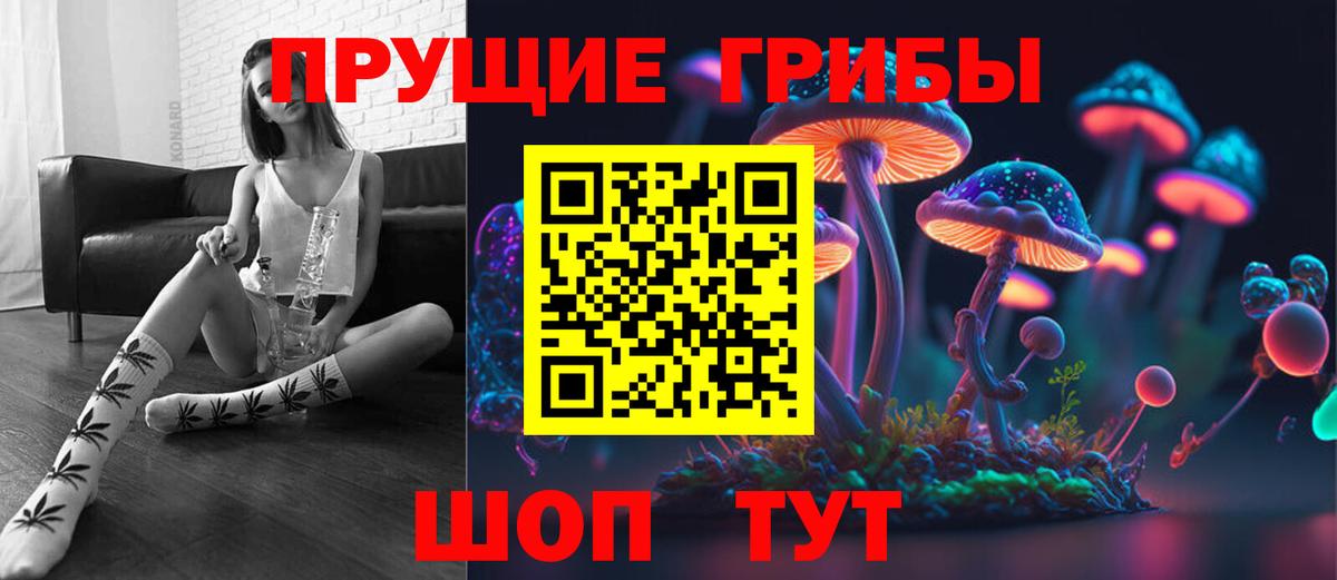 Белогорск  Галлюциногенные грибы Cubensis  Вход с VPN 