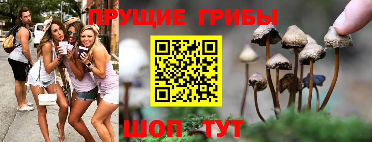 Галлюциногенные грибы мицелий Белогорск