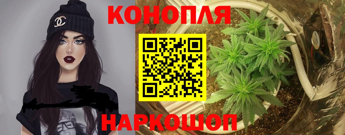Белогорск  МАРИХУАНА сатива  Вход с VPN  Каннабис THC 21%  Бошки марихуана сатива 